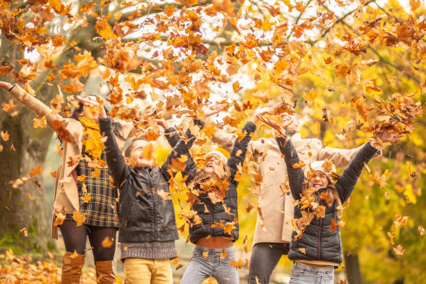 Embrace Autumn with these 6 activities!