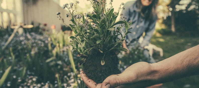 The benefits-of-a-veggie-garden: why you need to spend more time digging in the dirt!